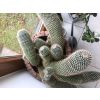 Kaktus Zimmerpflanze