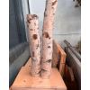 Futterbaum für Tiere 60 cm, unbenutzt, NP: 70€