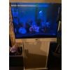 Aquarium 60x50x70